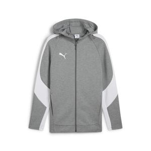 659947-33-hooded-sweatshirt-puma-teamevostripe-gray
