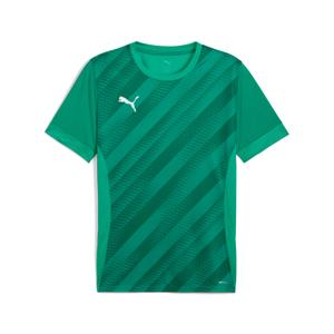 707113-05-children-s-jersey-puma-teamgoal-graphic-green