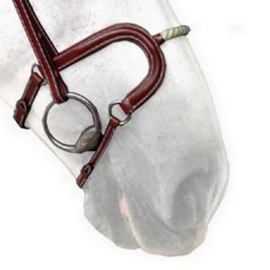 n03ncord-horse-cheek-pieces-silver-crown-h-australian-nut-full