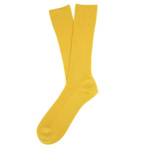 sp800-pineapple-eco-friendly-socks-spasso-pineapple