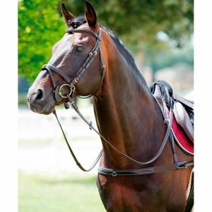 1188099-04-elastic-horse-hunting-collar-with-removable-neck-tattini-brown