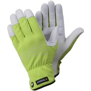product/t/e/tegera_290_vert_1.jpg