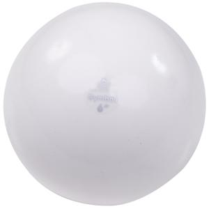 g4200-gym-ball-trial-white