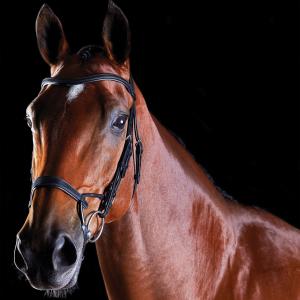 816078-818443-horse-training-bridles-weatherbeeta-collegiate-comfitec-black